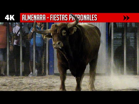 4K ▪ ALMENARA ▪ EXHIBICIÓN DE RECORTADORES, VACAS Y TORO CERRIL
