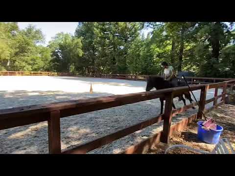 Mynstur átta í stökki