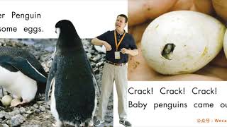 08 G1 Eggs