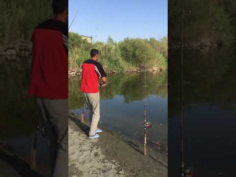 روز خوب ماهیگیری در رود اراز /ارس/