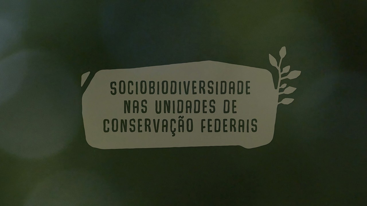 Acesso a políticas públicas aos Povos e Comunidades Tradicionais (PCTs)