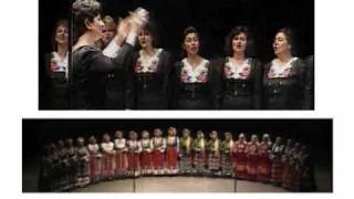 Nonesuch Records: Everything from Bjork to Wilco