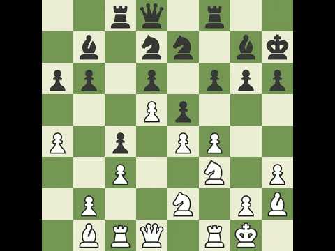 timerandz reel 5 November 25,2024 h6 opening for black the 2nd