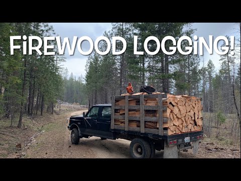 Firewood Logging (solo) Timber Falling, Limbing, Bucking, Splitting and Loading!