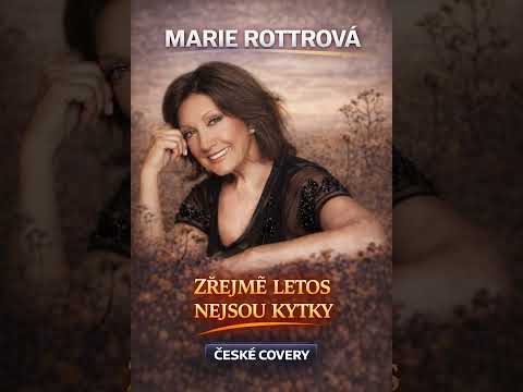 Zřejmě letos nikde nejsou kytky – rockový cover | český cover