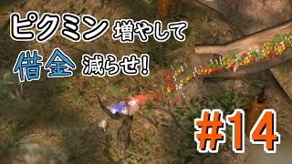 【ピクミン2】ピクミン増やして借金減らせ！# 14