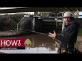 Streetfishing with Thom Hunt - Part 2: Locating Fish In Canals | Westin Fishing