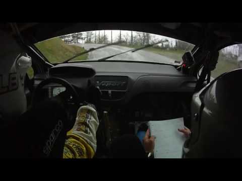 Cameracar Crash Ronde Montecaio 2016 Bertoli-Guidotti 208 R2B - PS2