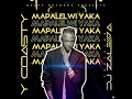 Y Coasty Ft DJ Zalewa Mapalelwi Yaka 2022 Mbunga Music Hits