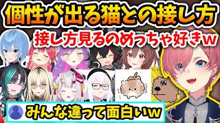 ルイ姉の愛猫にゃんちゃんとの接し方で個性が出るホロメンたち【さくらみこ/鷹嶺ルイ/星街すいせい/常闇トワ/白上フブキ/輪堂千速/虎金妃笑虎/戌神ころね/大神ミオ/百鬼あやめ/ホロライブ切り抜き】