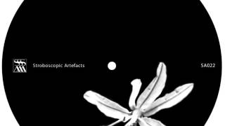 Chevel - Viewpoint [Stroboscopic Artefacts SA022]