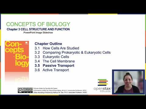 OpenStax Concepts of Biology Chapter 3.5