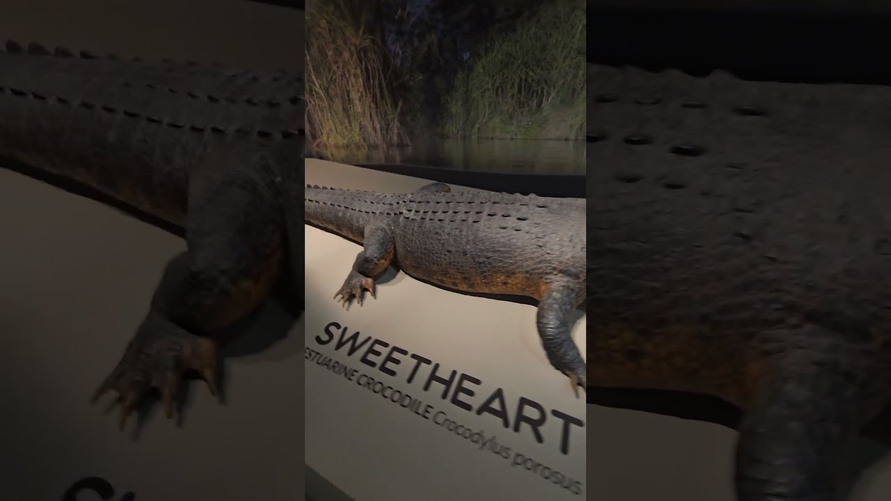 YouTube Short thumbnail