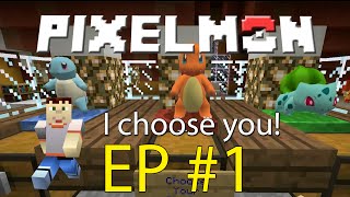Roblox Pokemon Brickbronze Starting W Charmander -
