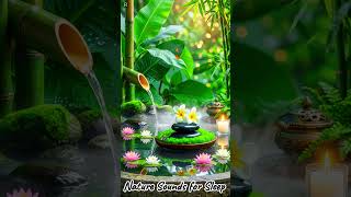 Peaceful Healing Music  #relax #calmingsounds #relaxing #innerpeace #mindspringmusic #relaxingmusic