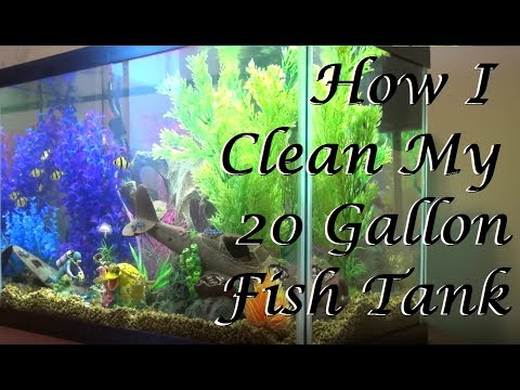 How To Clean the Top Fin 20 Gallon Aquarium