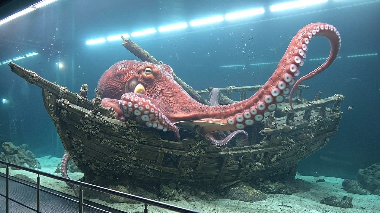 【極秘記録】UMA保護センター潜入レポート。伝説が現実に…？｜AIと未確認生物の共生世界【4k video】