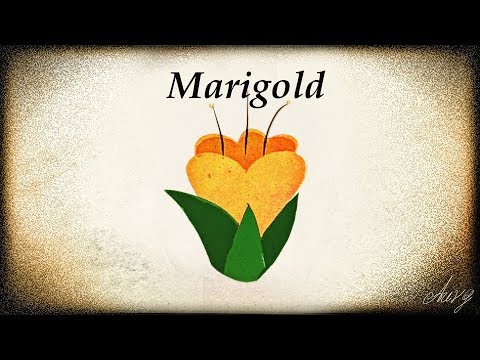 Elitsa Naumova - Marigold (Lyrics Video)