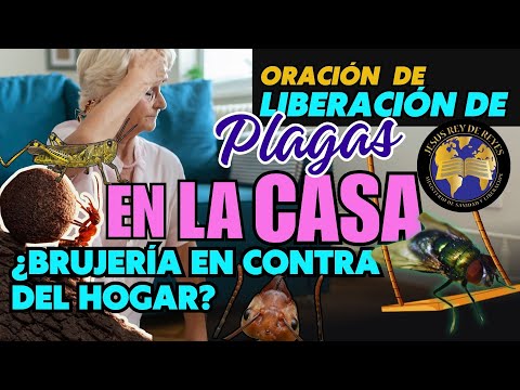 Oración Liberación de Plagas en los Hogares, Brujería en Contra del Hogar