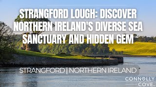 Strangford Lough: Discover Northern Ireland's Diverse Sea Sanctuary and Hidden Gem | NI Things To Do