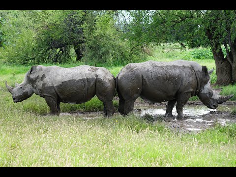 Namibia 2020 Rundreise Teil 1 - Nordosten