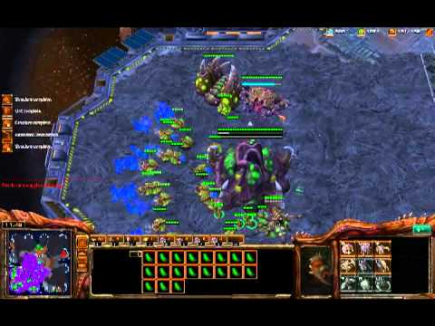 Ling infestor ZvT buildorder.