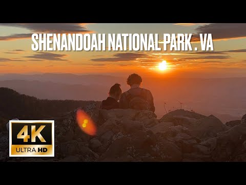 Explore Skyline Drive's scenic route and Skyland Resort's offerings in Shenandoah National Park VA