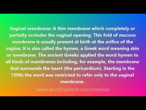 Vaginal membrane - Medical Meaning and Pronunciation