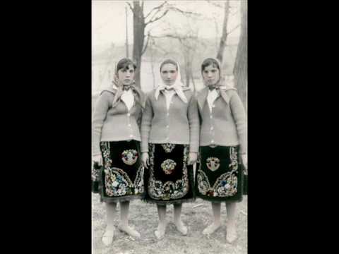 Timocul sârbesc - Cocoşel cu doua creste