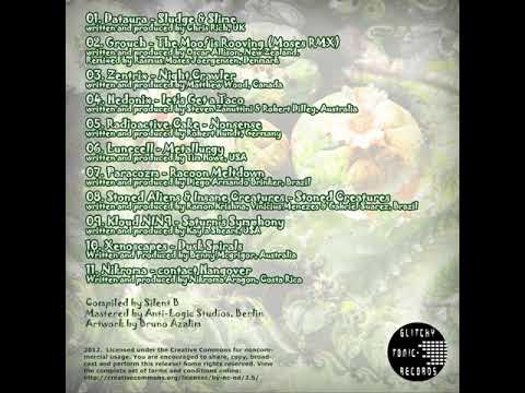 07 Paracozm - Racoon Meltdown