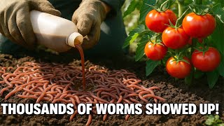 Stop Adding These Ingredients – They’re Repelling Earthworms!