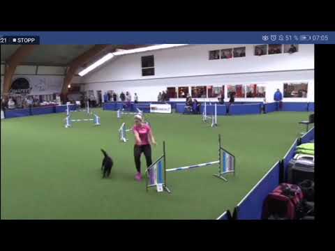 Agility German Classics 2018. Yell Platz 1, Tic Tac Platz 3 gesamt