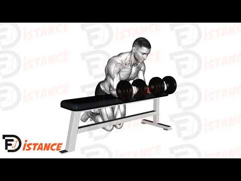 Flexion des poignets avec haltères sur banc - Exercice Flexion des poignets avec haltères sur banc en vidéo