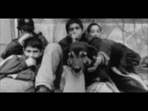 Descar - Kaderimiz Renk Körü