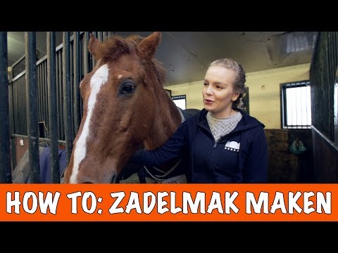 , title : 'PAARD ZADELMAK MAKEN 1/2  | PaardenpraatTV'