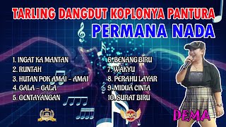 Download lagu 10 Lagu Pilihan Dangdut Koplonya Pantura PERMANA NADA mp3