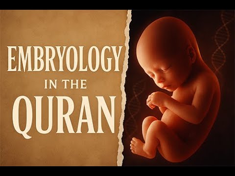 Human Embryology in the Quran | Modern Science Confirms Islamic Miracles