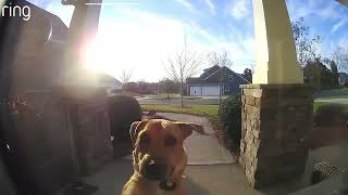 Grayson Sprays His Aunt With a Hose   RingTV