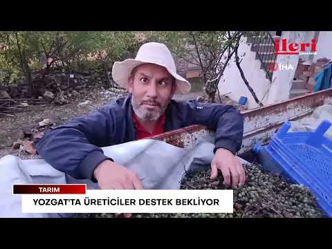 Yozgat'ta üreticiler destek bekliyor | İleri Gazetesi