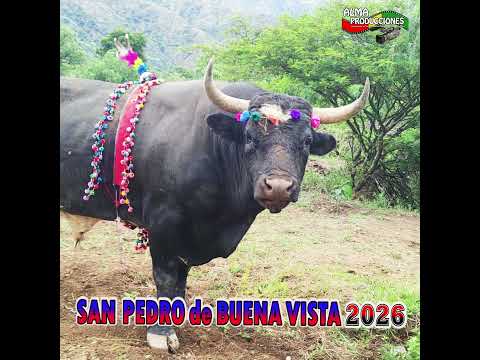 Fiesta de Pascua de SAN PEDRO DE B.V. 2026 T2."Torpe-Ch'illca".#shortsviral #almaproduccionesbolivia