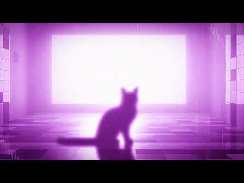 Reefa Nation and Pawlace Records