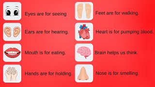 50+ 👀 English Sentences About Body Parts | Body Parts English Sentences for Kids 🧸 | Oh Vui Kids