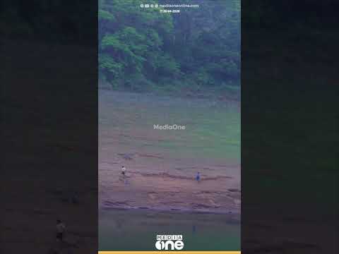 'വല്ലാത്ത സുഖകേട് തന്നെ അല്ലേ... നിരപ്പായ സ്ഥലായിരുന്നെങ്കിൽ ആന അവന്മാരെ പിടിച്ചേനെ...'