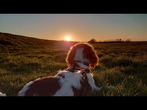 Morton's Leam Trig Point: The Nene Washes
