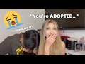 TELLING MY BROTHER HES ADOPTED PRANK *EMOTIONAL*