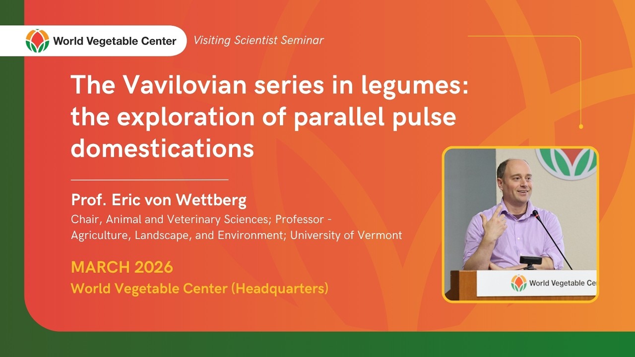 The Vavilovian series in legumes: the exploration of parallel pulse domestications