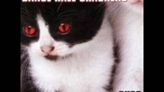 Dance Floor Crashers - Remember to Breathe