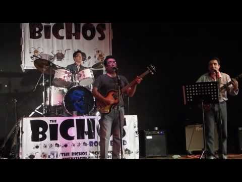 Anna - The Bichos Rock Band 19/06/16