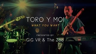 Toro Y Moi - What You Want