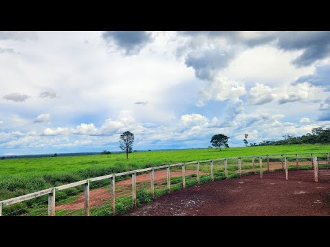 FAZENDA NO MUNICÍPIO DE JACUNDA-PARÁ 